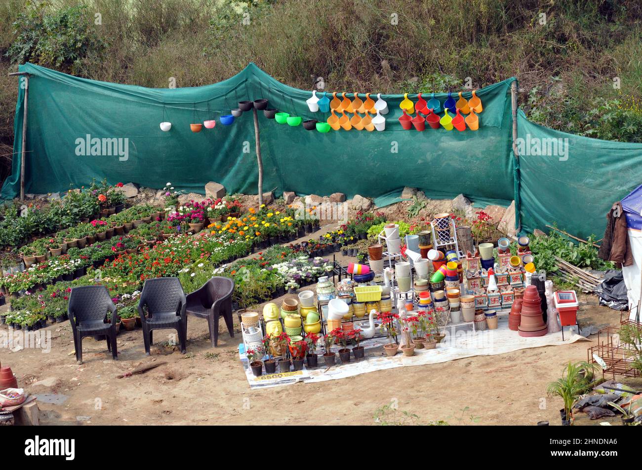 Nursries hires stock photography and images Alamy