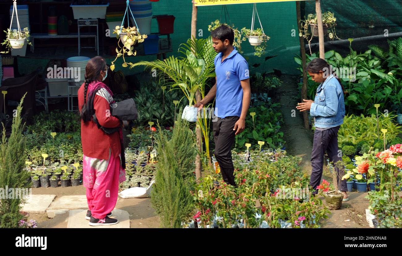 Nursries hires stock photography and images Alamy