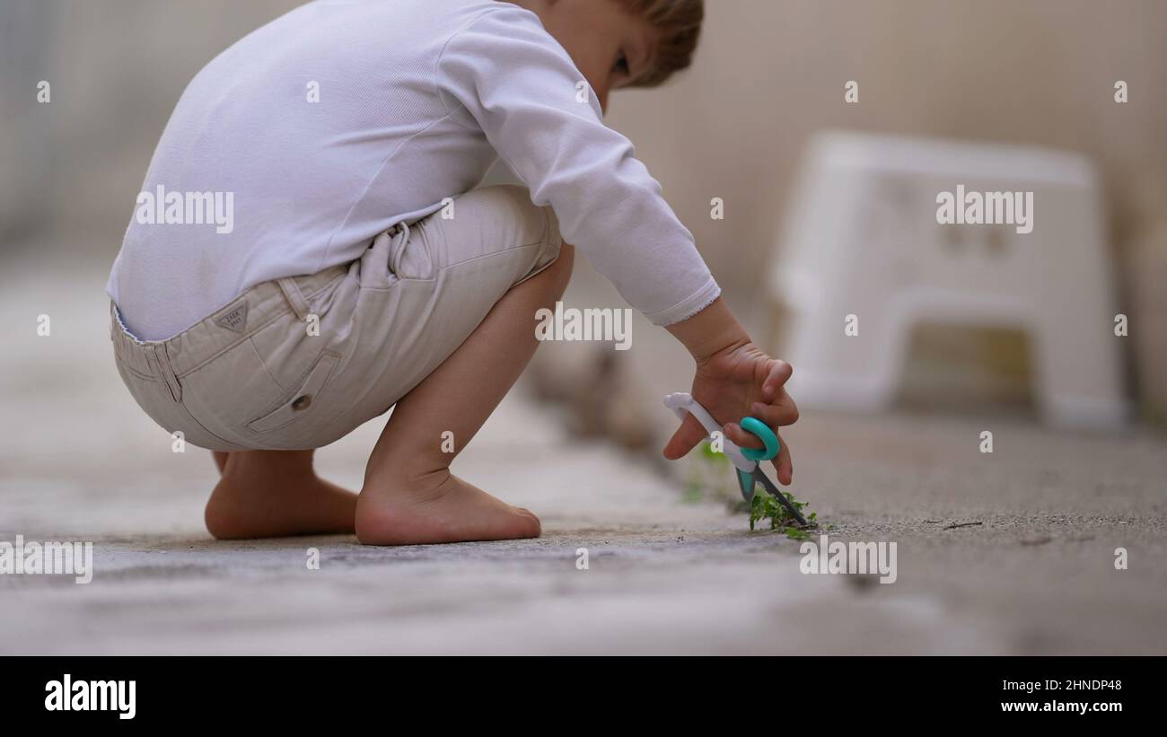 https://c8.alamy.com/comp/2HNDP48/kid-playing-toy-scissors-cutting-green-plant-leaf-2HNDP48.jpg
