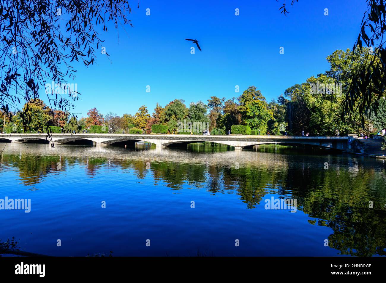 Landscape with long old grey bridge and many large green trees near the lake in Carol Park in Bucharest, Romania,  in a sunny autumn day Stock Photo