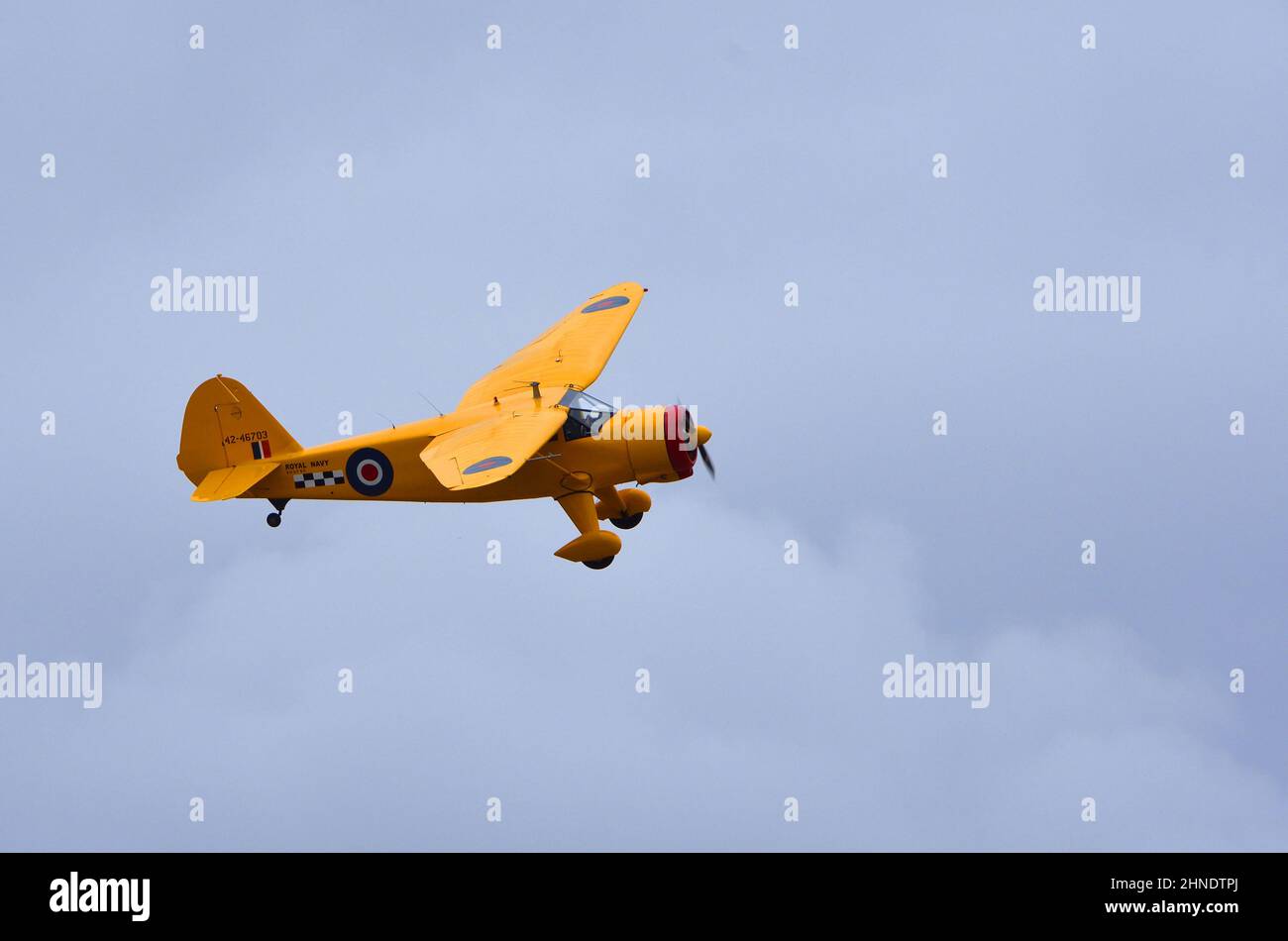 Stinson Reliant  aircraft  1942 in  royal navy yellow colours flying . Stock Photo