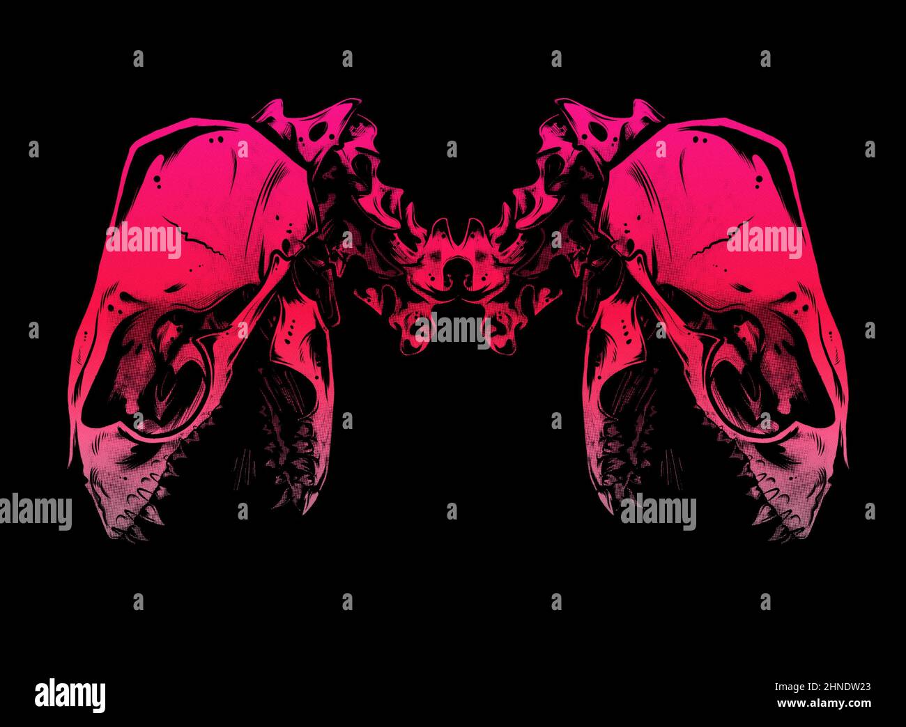 Conjoined Snake Skulls illustrated modern graphic. Digital tattoo art aesthetic. Neon magenta animal anatomy ink line art bold drawing. Stock Photo