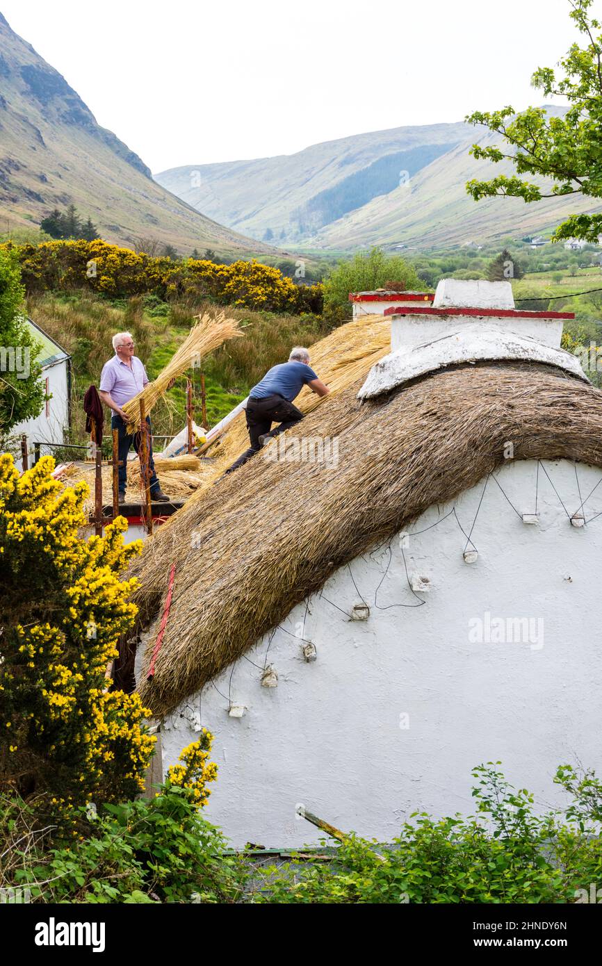 Thatchers at work on traditional cottage roof. Glengesh Pass, Ardara, County Donegal, Ireland. Stock Photo