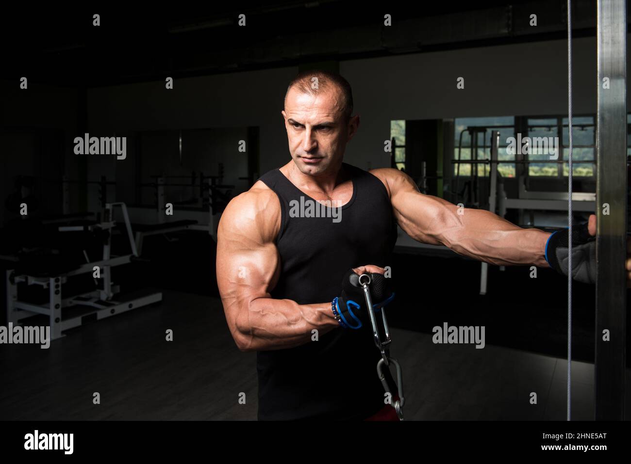 Man In The Gym Exercising On His Biceps On Machine With Cable In The Gym Stock Photo