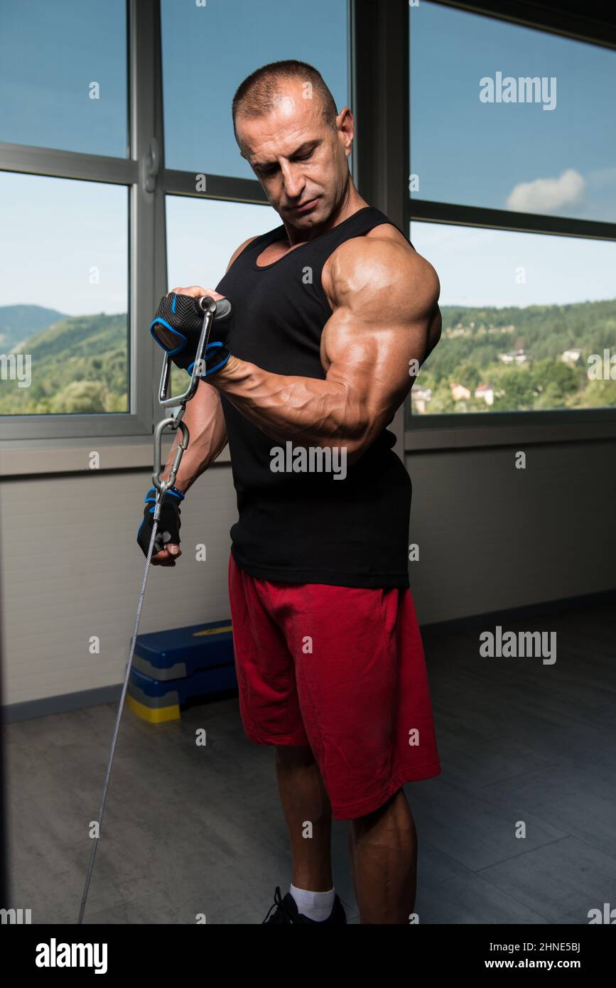 Bodybuilder Exercising Biceps Stock Photo - Alamy