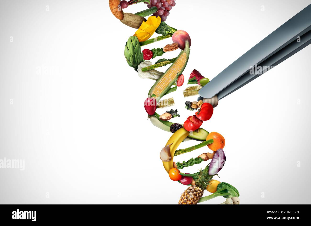 Agriculture gene editing and agricultural CRISPR concept or genetic engineering of food as a group of farm produce shaped as a DNA strand. Stock Photo