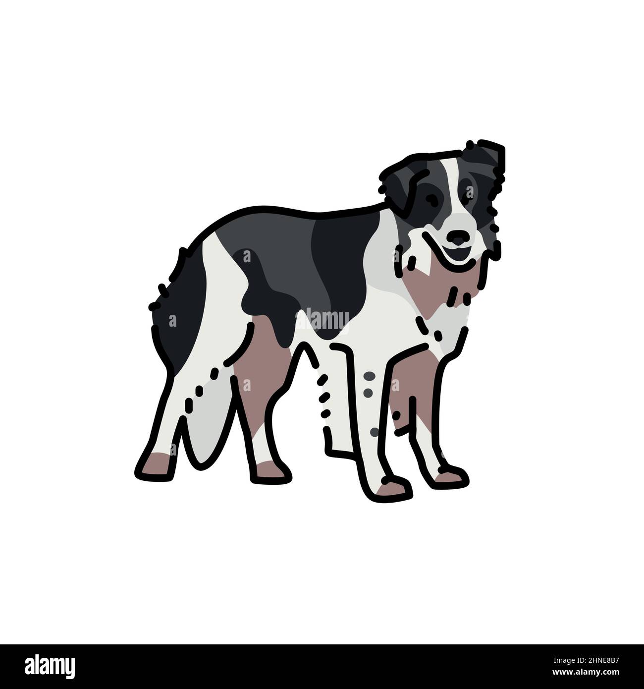 Vector border collie dog hi-res stock photography and images - Alamy
