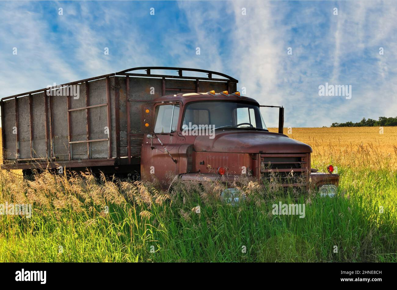 Old truck abandoned in field hi-res stock photography and images - Alamy