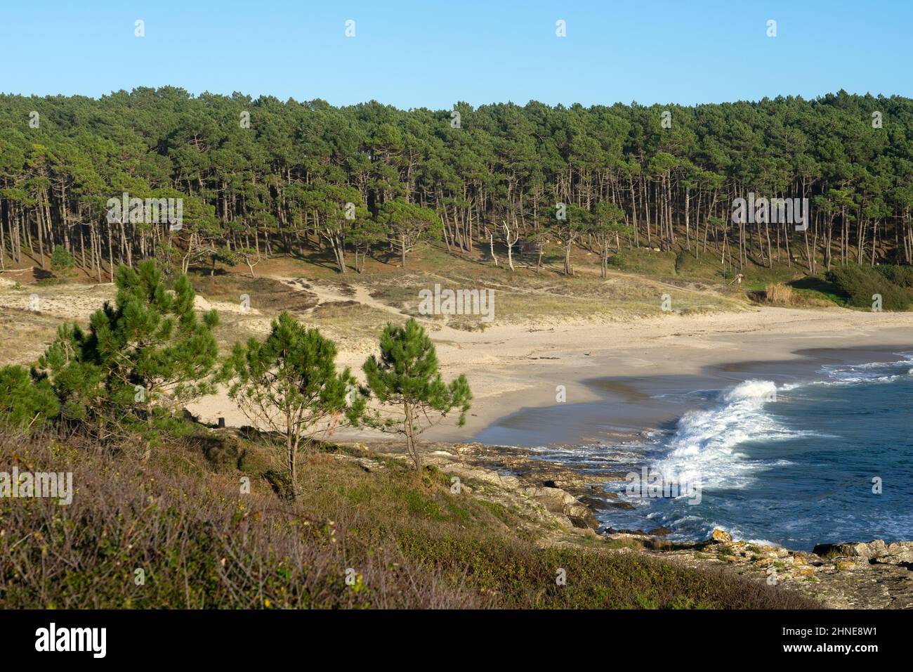 Melide beach surrounded by a pine forest in Home Cape natural zone at sunset in Rias Baixas. Pontevedra, Galicia, Spain. Stock Photo