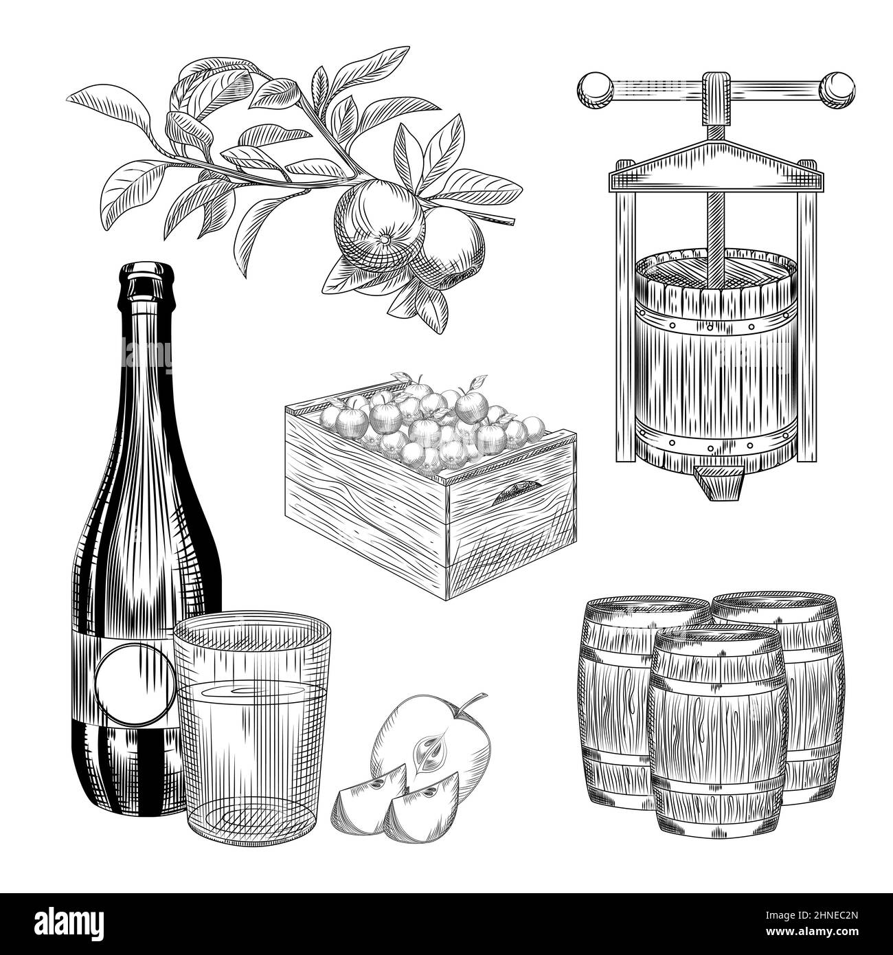 Set of apple cider. Harvest apple, wooden crate, press, barrel, glass and cider bottle. Craft fruit beer collection. Engraving vintage style. Vector i Stock Vector