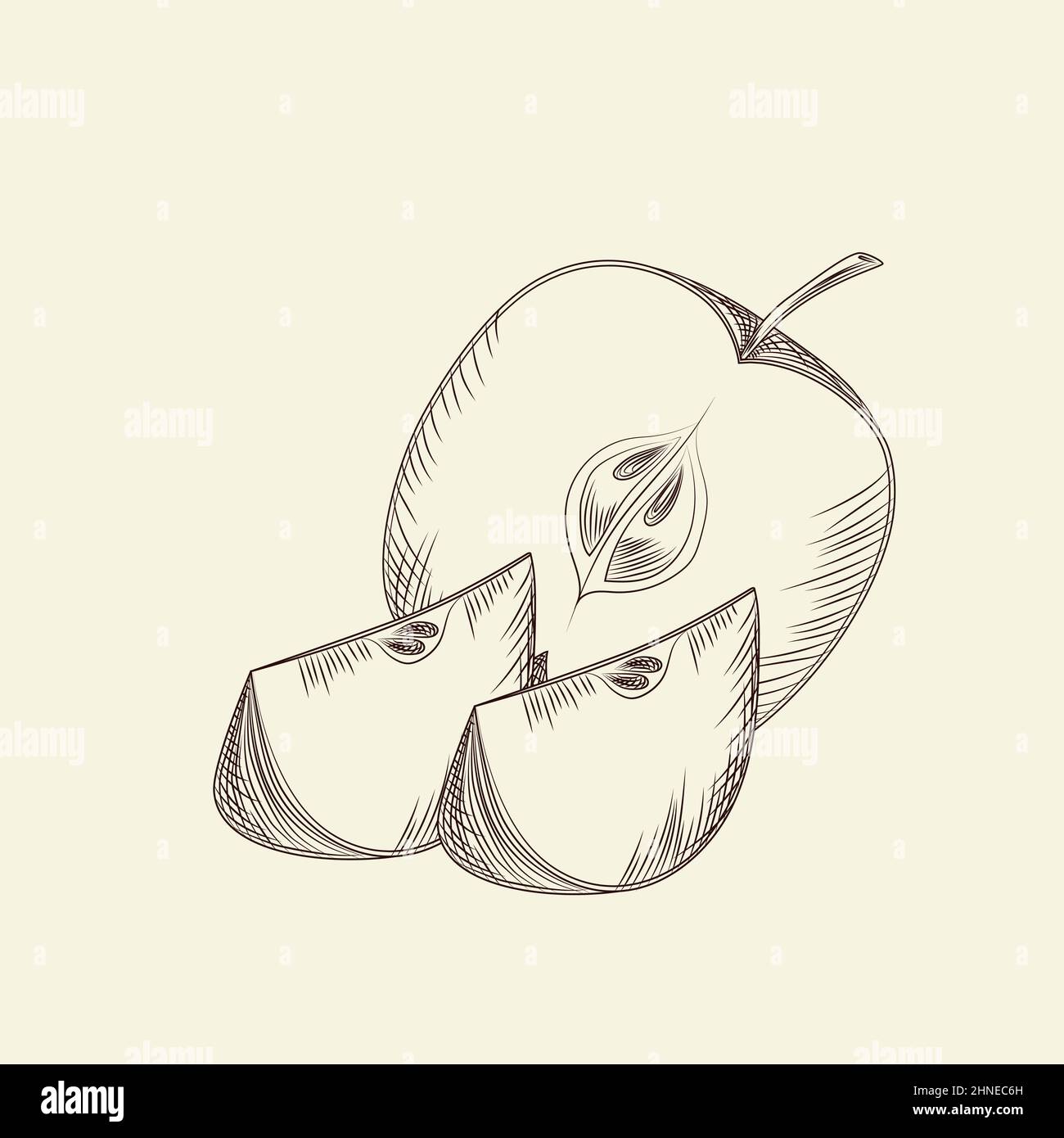 Hand drawn apple. Ripe sliced apples isolated on background. Engraving vintage style. Vector illustration Stock Vector