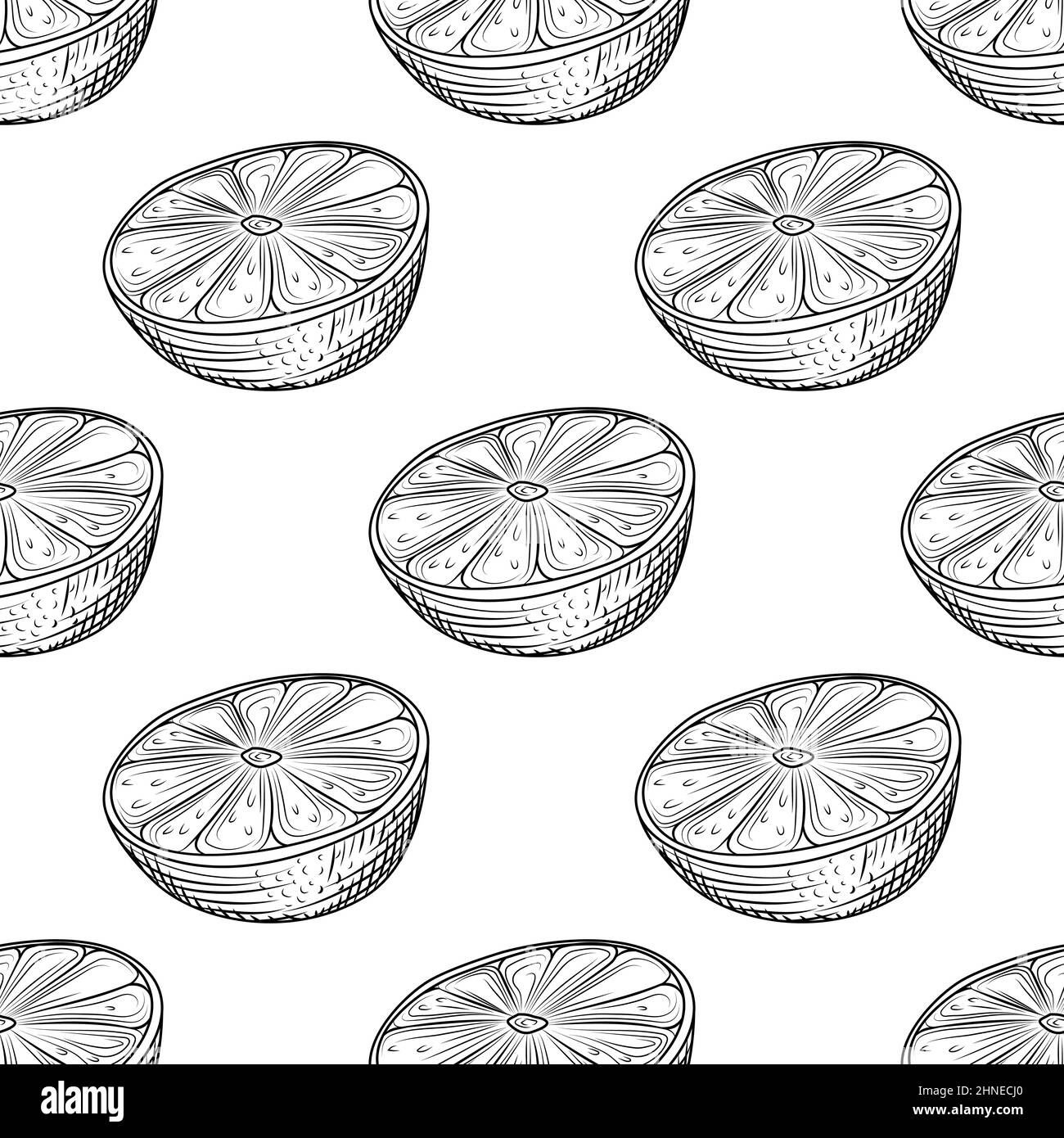 Hand drawn lime slice seamless pattern on white background. Lemon ...