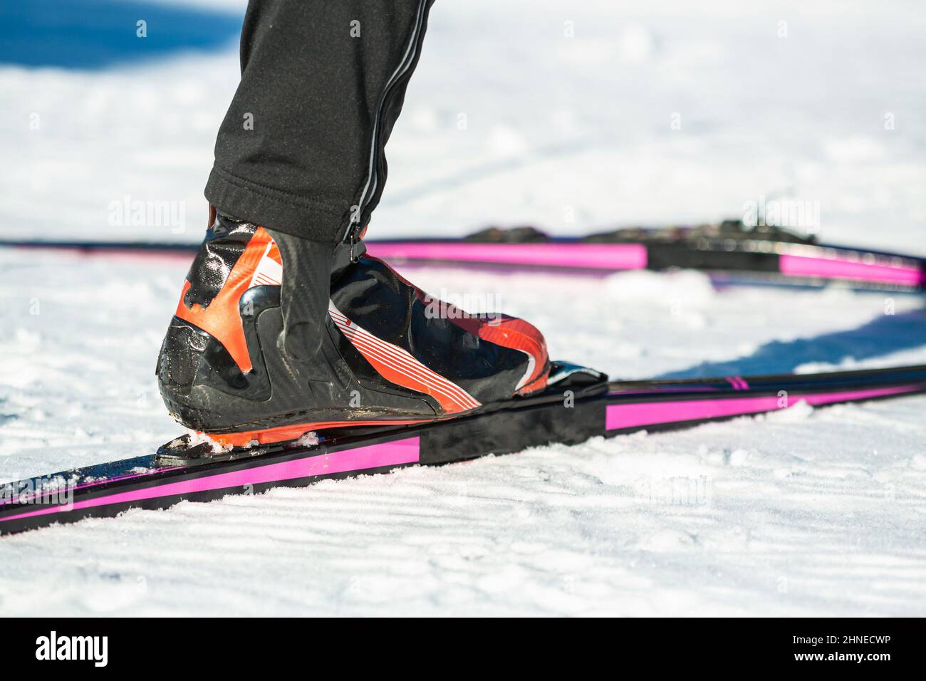 Cross country skier legs standing on skis, putting the toe of the ski