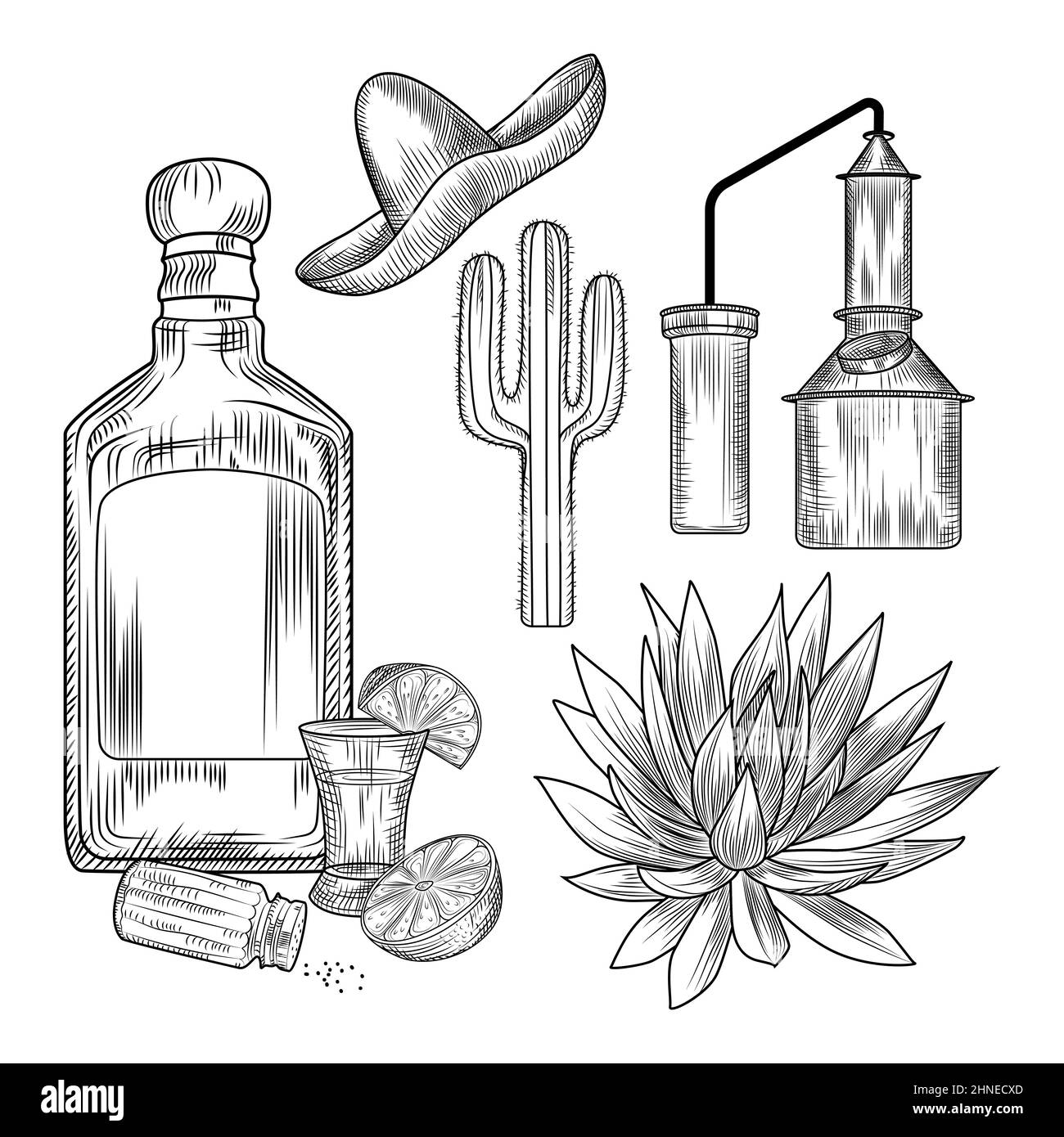 Set of tequila. Shot glass and bottle tequila, salt, lime, blue agave, copper cube, sombrero, cactus. Engraving vintage style. Vector illustration. Stock Vector
