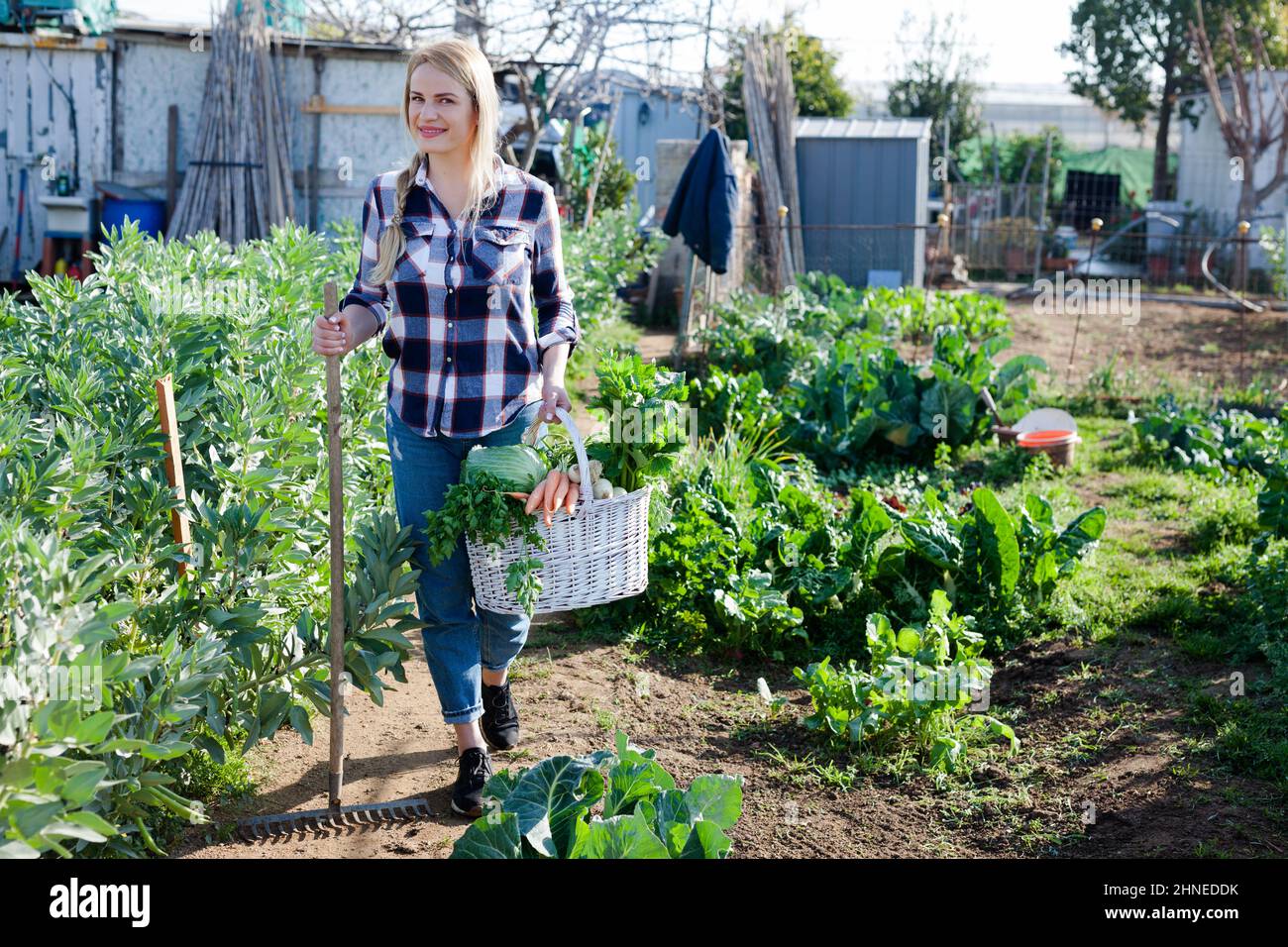 Young woman gardener holding harvest of vegetables and greens in basket ...