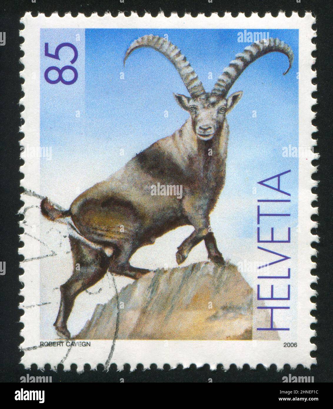 British Alpine Goat рисунок
