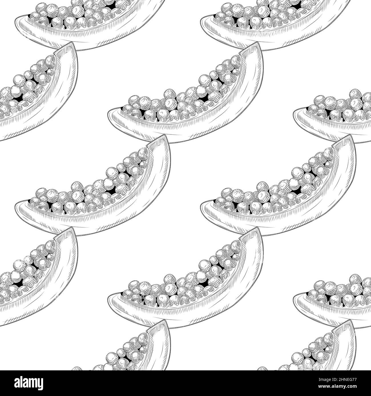 Geometric slice papaya seamless pattern in hand drawn style. Pawpaw ...