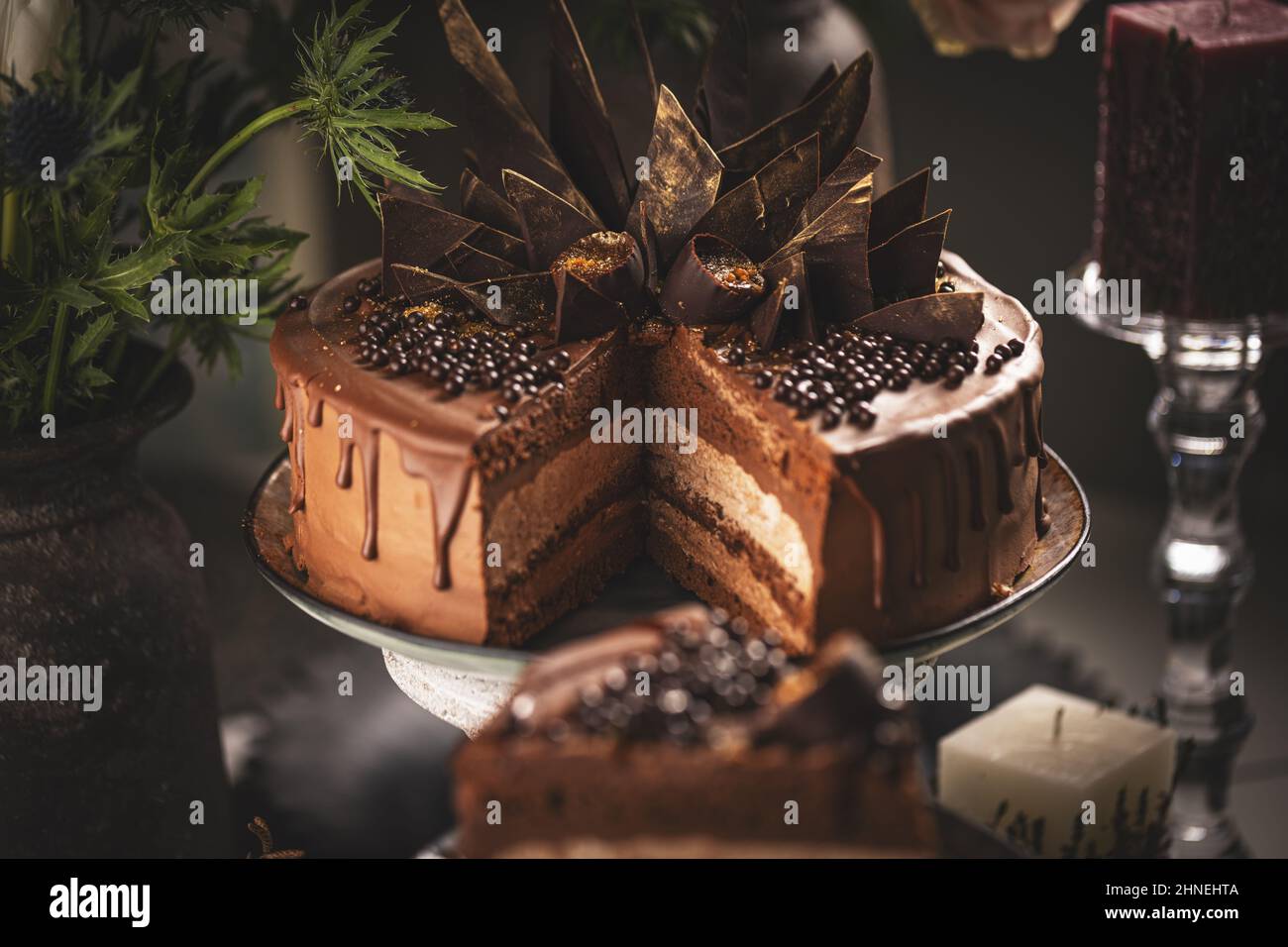 Still life of layered chocolate mousse cake decorated with chocolate ... Still life of layered chocolate mousse cake decorated with chocolate ...