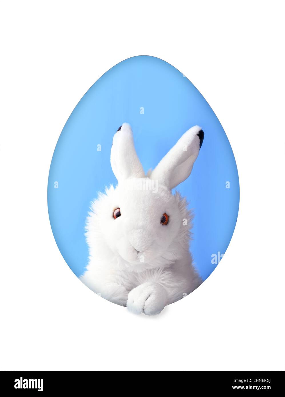 White easter rabbit with sheet for a text writing. Easter concept. Easter bunny. Stock Photo