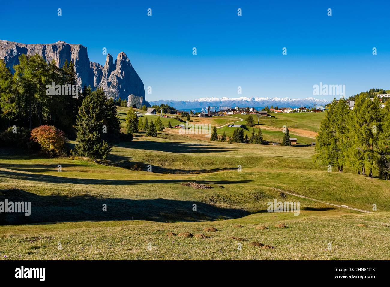 Compatsch Hilly agricultural countryside with village Compatsch at Seiser Alm ...