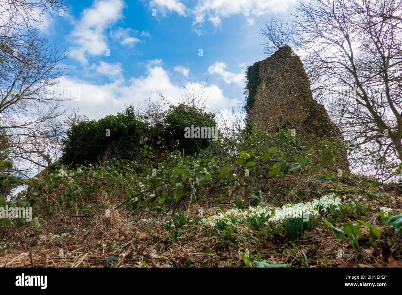 Tivetshall St Mary, Ruined Church Stock Photo
