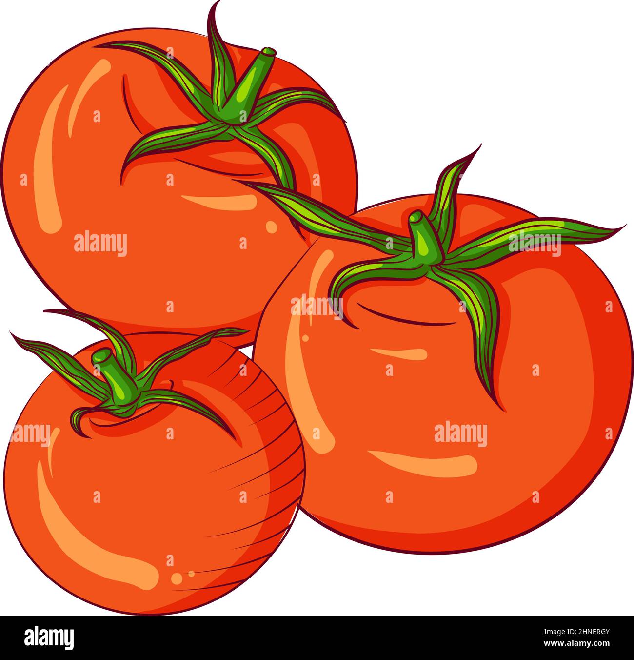 Three whole tomatoes Stock Vector