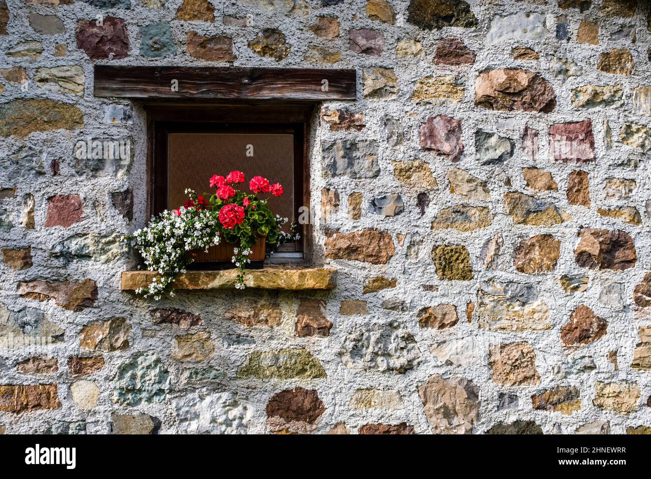 Blooming flowers in a little window in the stone wall of a farmers house at Seiser Alm. Stock Photo