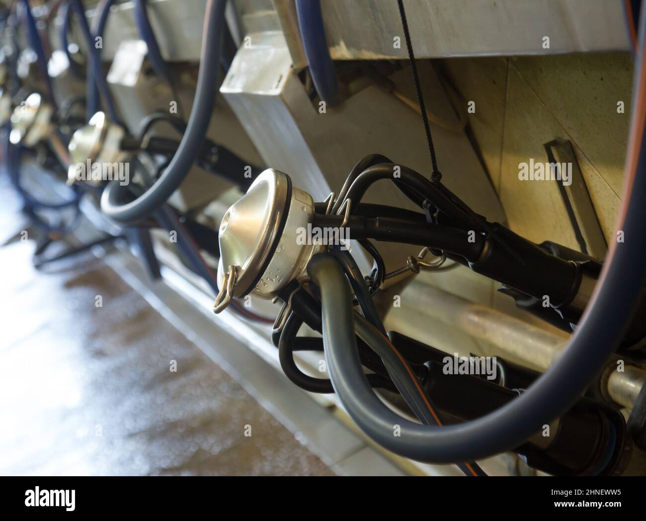 Close up of milking facility Stock Photo