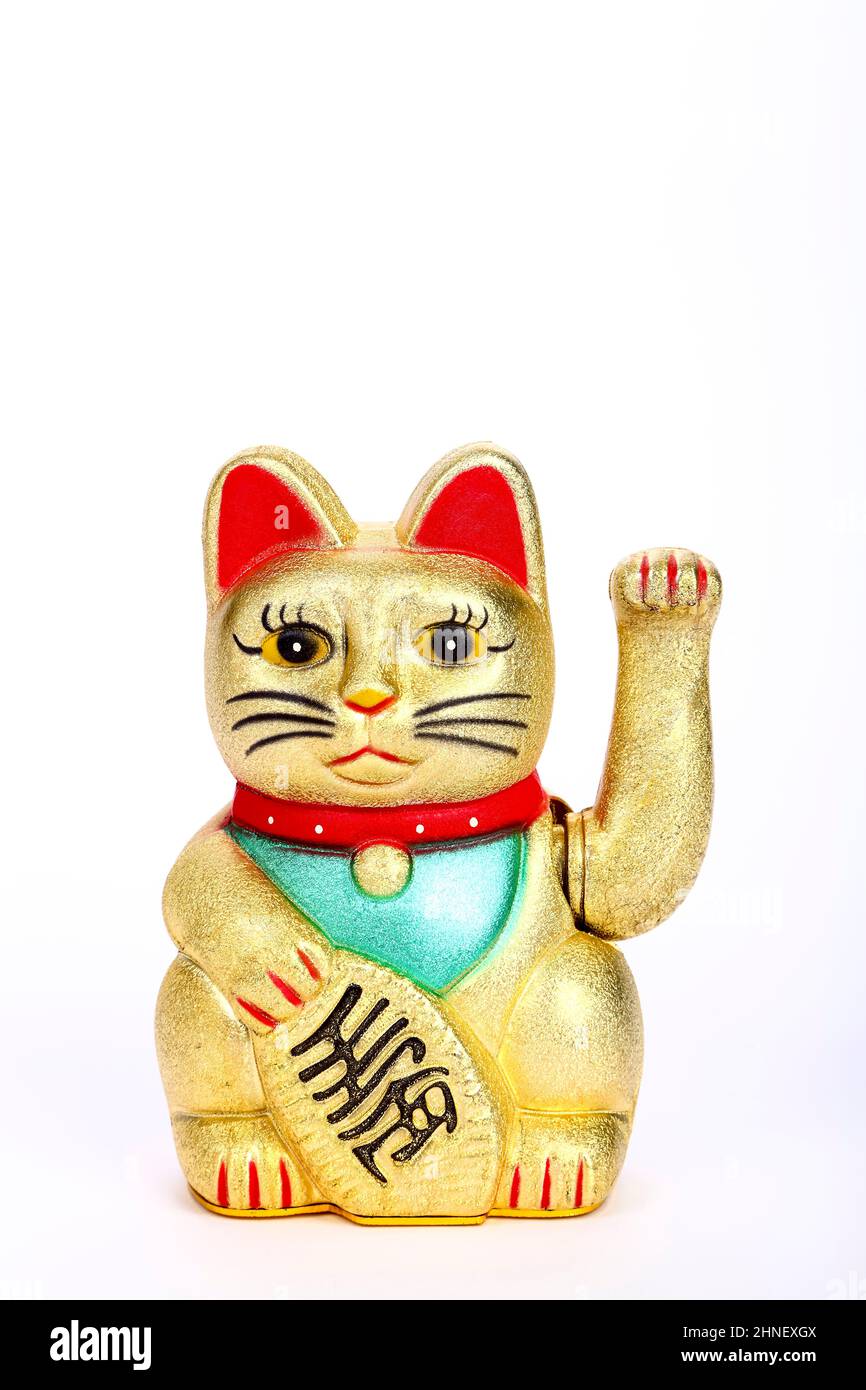 Lucky fortune charm beckoning cat Maneki Neko Stock Photo Alamy