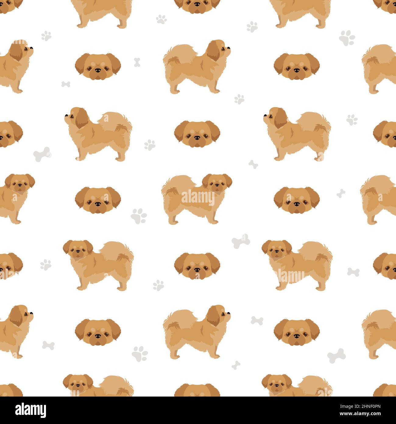 Tibetan spaniel seamless pattern. Different poses, coat colors set