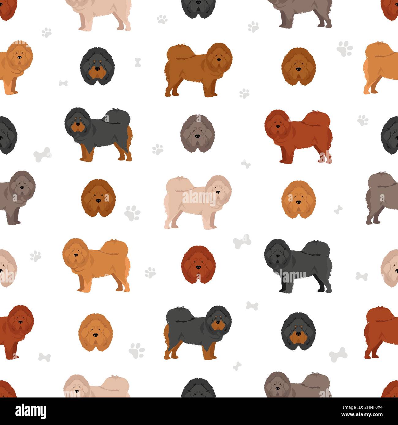 Tibetan mastiff seamless pattern. Different poses, coat colors set.  Vector illustration Stock Vector