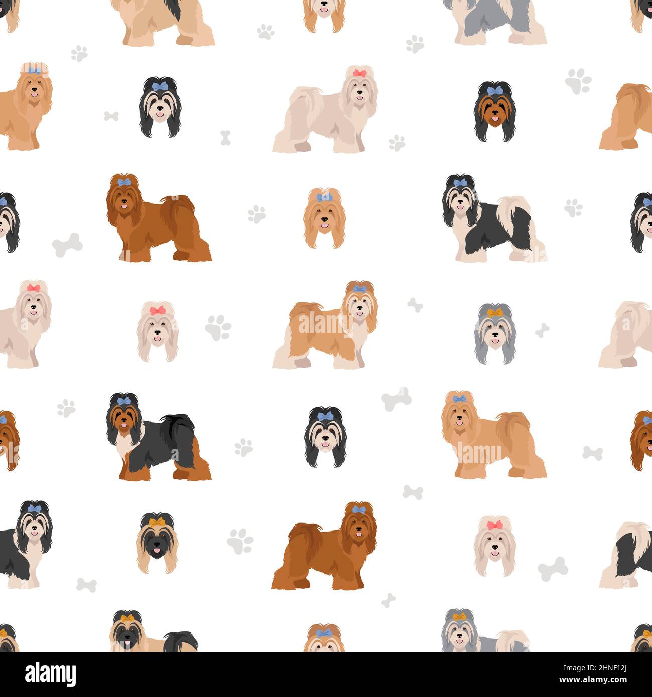 Tibetan terrier seamless pattern. Different poses, coat colors set.  Vector illustration Stock Vector