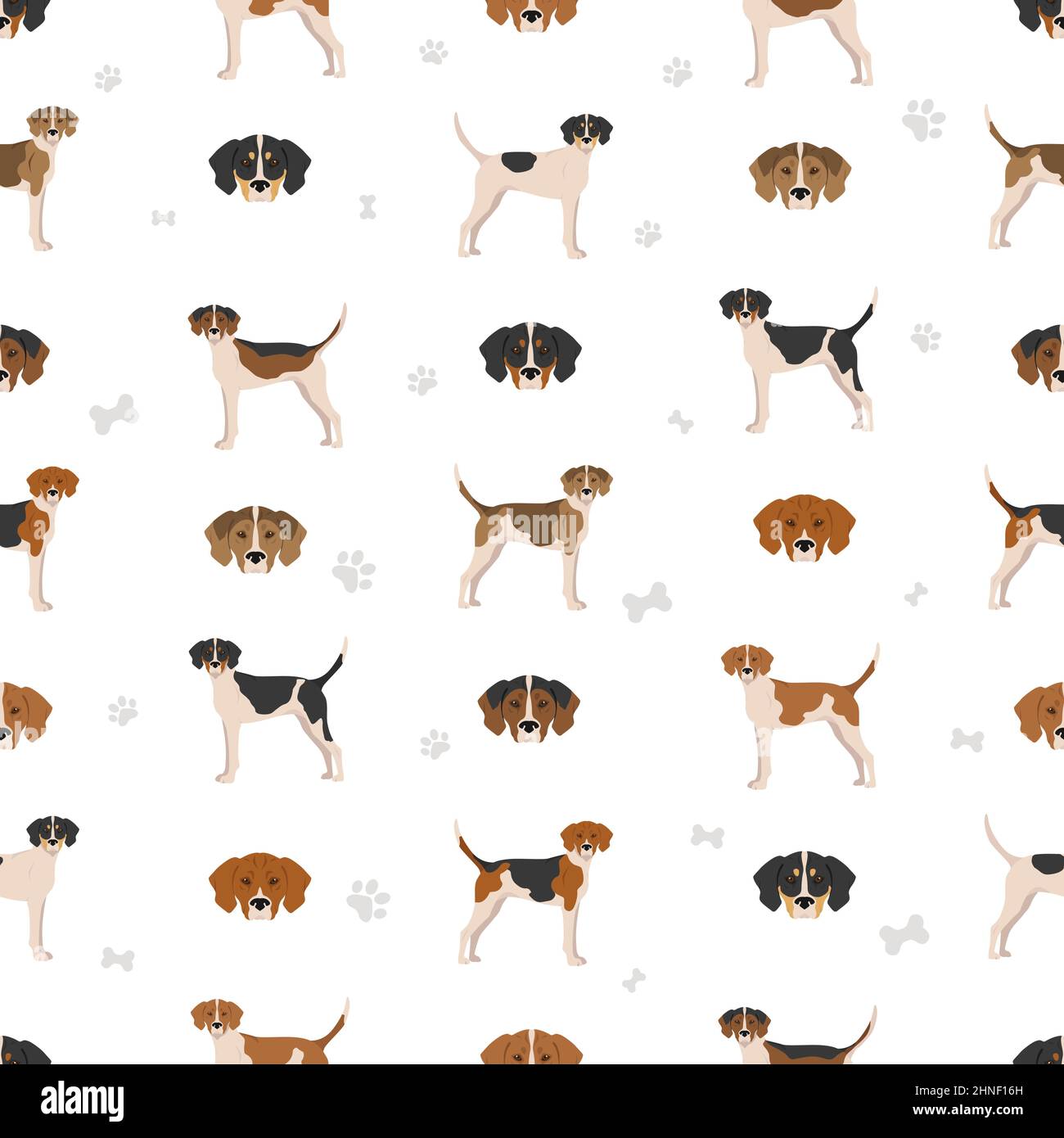 Treeing walker sale coonhound colors