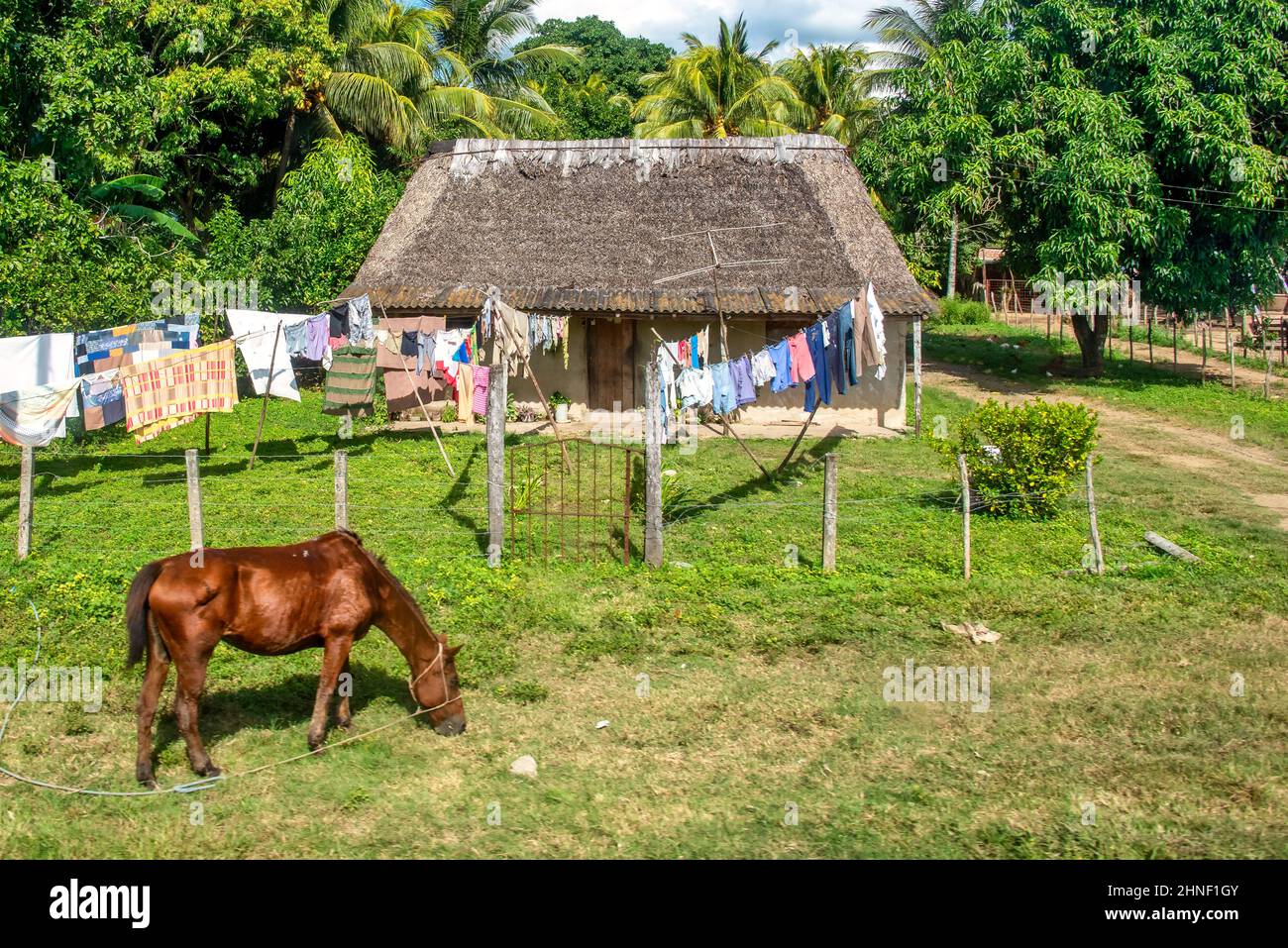 Ciego de Avila, Cuba, 2020 Stock Photo