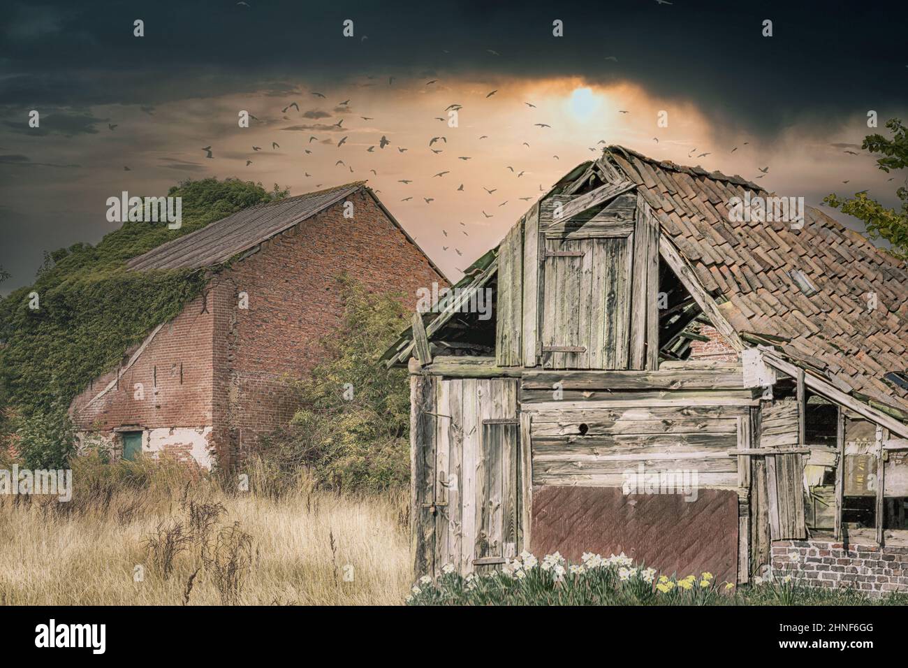 a derelict shack Stock Photo - Alamy