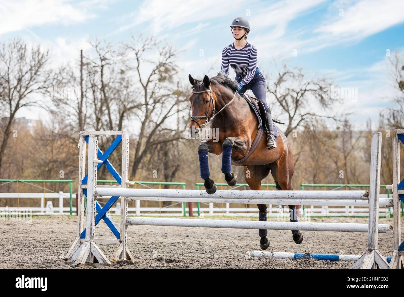 Equestrian sport. Show jumping competition. Young rider horseback girl