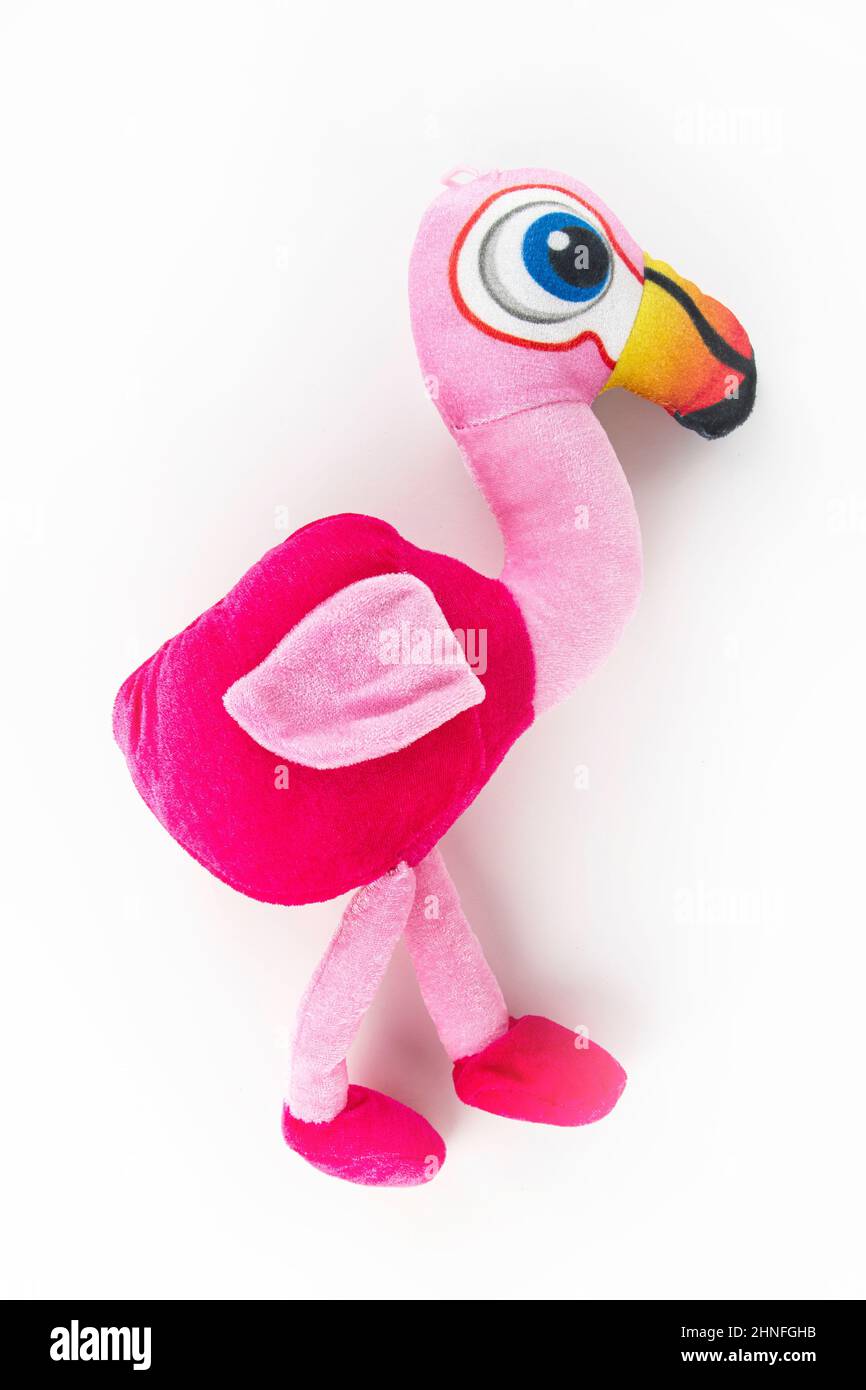 https://c8.alamy.com/comp/2HNFGHB/a-pink-flamingo-plush-on-a-white-background-2HNFGHB.jpg