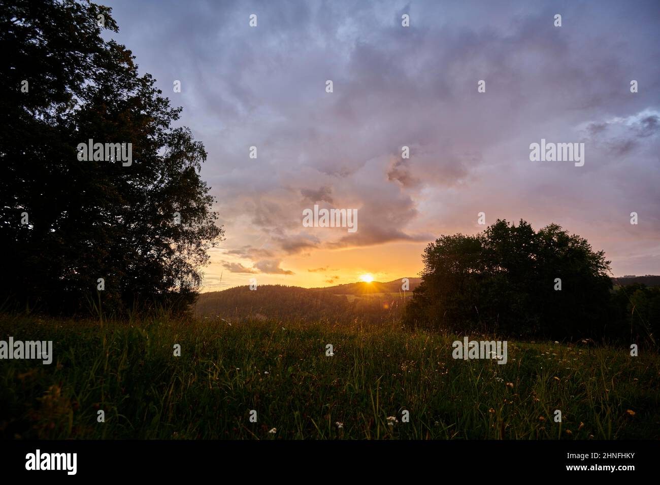 Sunset above a meadow, Bavarian Forest, Bavaria, Germany Stock Photo