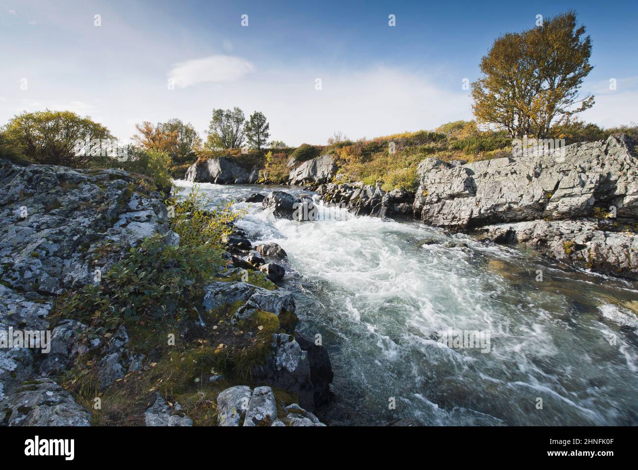 River Driva, Trondelag, Norway Stock Photo