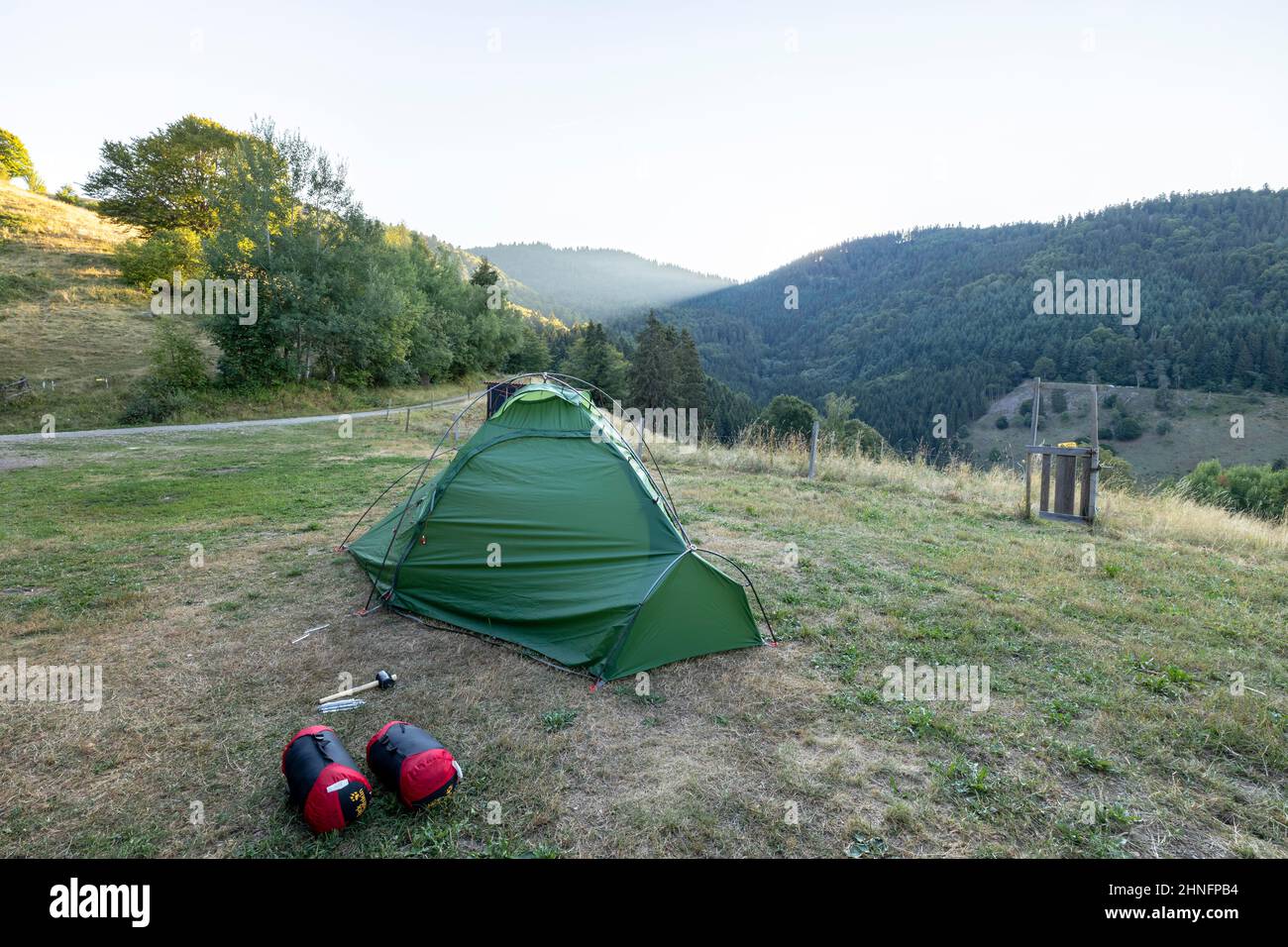 Green tent on dry summer meadow, Praeg, Black Forest, Baden-Wuerrtemberg, Germany Stock Photo