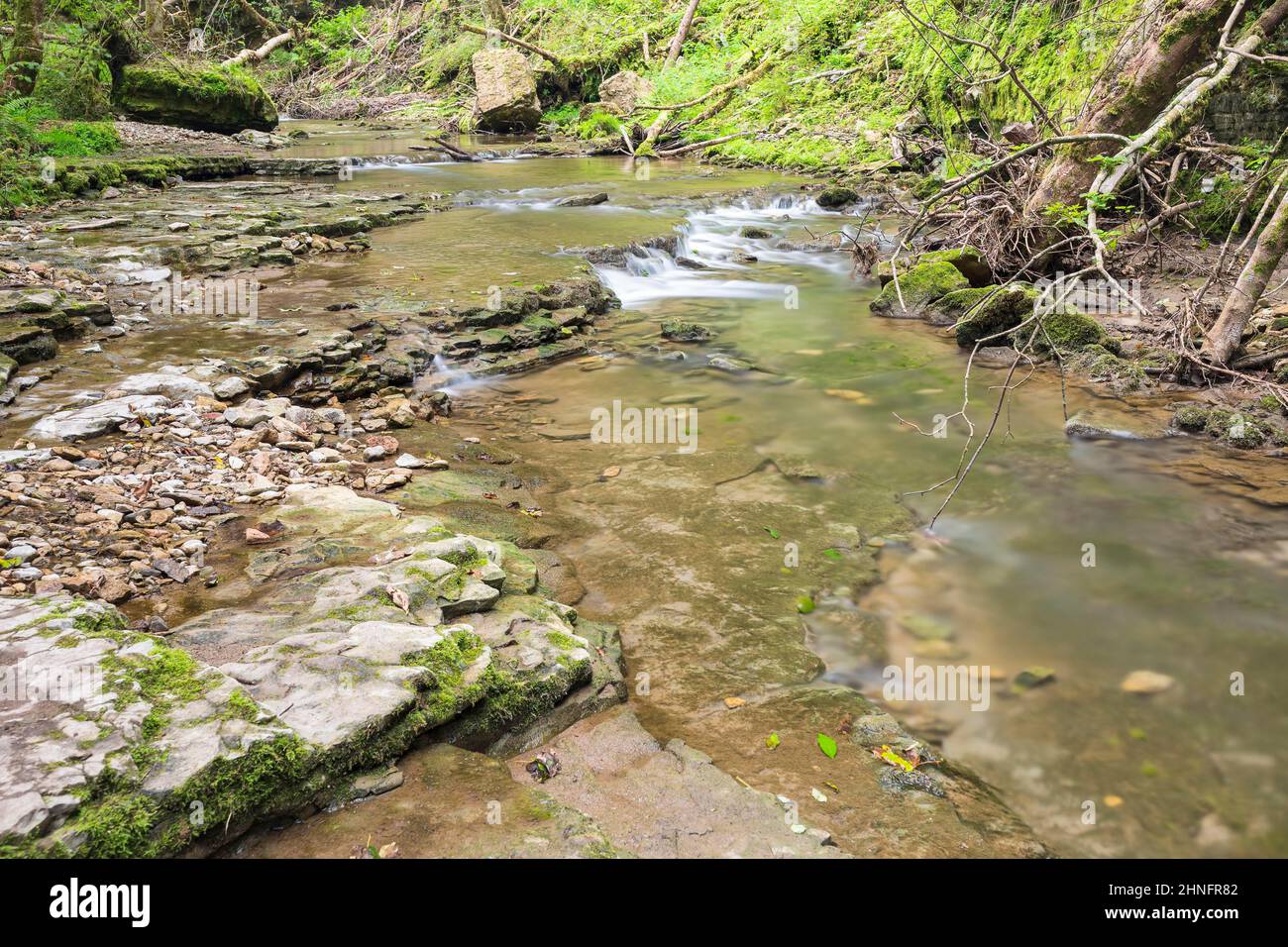 Hiking trail over shell limestone banks on the Gauchach, Gauchachschlucht, Southern Black Forest, Baden-Wuerttemberg, Germany Stock Photo
