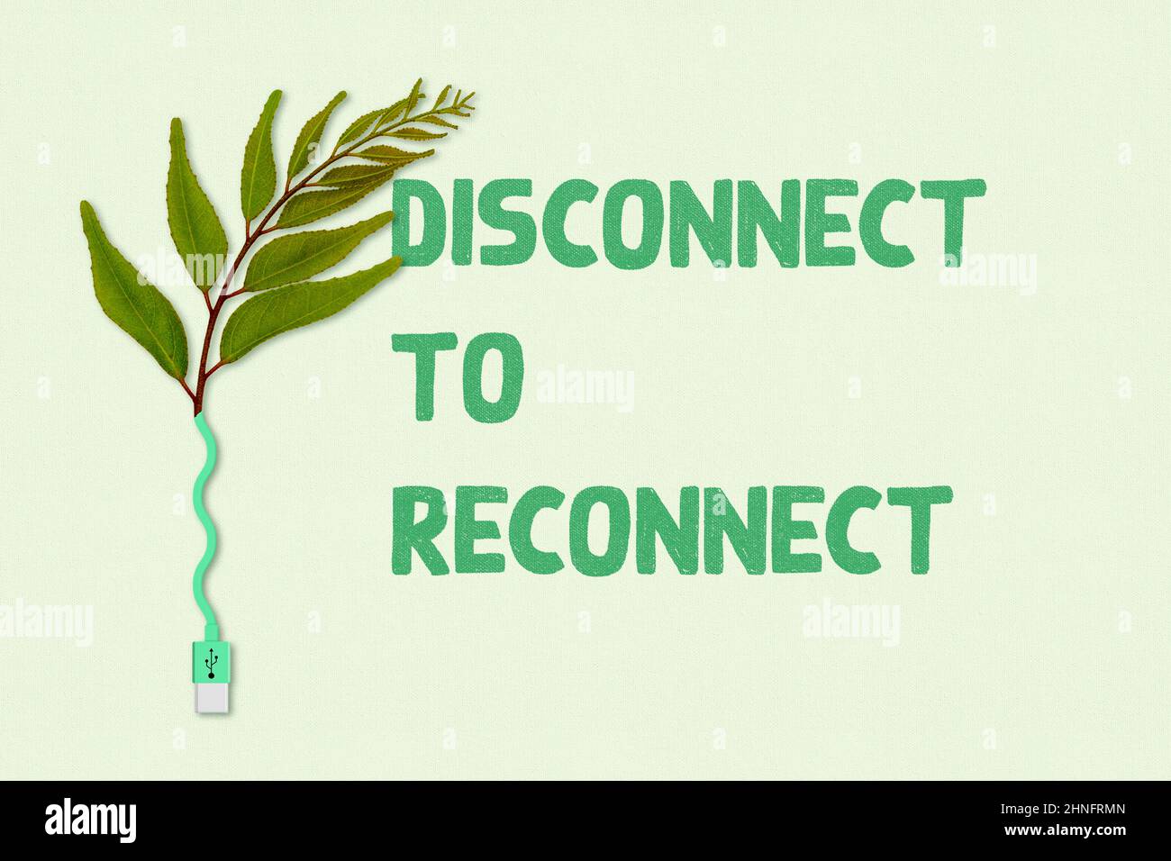 Disconnect to reconnect to nature and self, green leaf plant connected to unplugged USB cord, unplug from technology for mental health concept Stock Photo