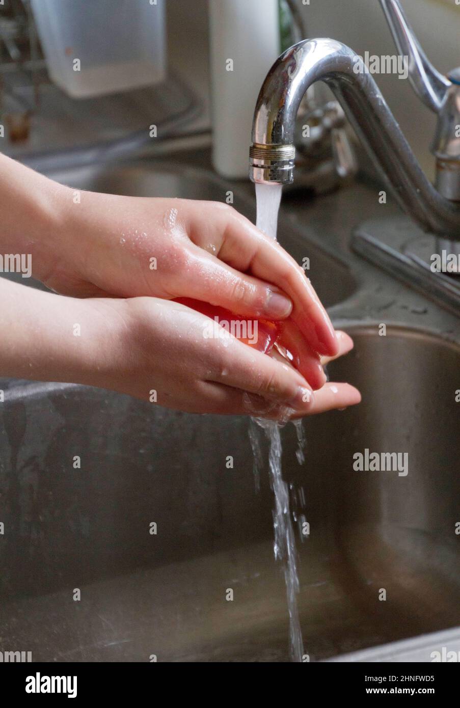 Close-up of a young white persons hands being rinsed under a metal faucet in a metal sink Stock Photo