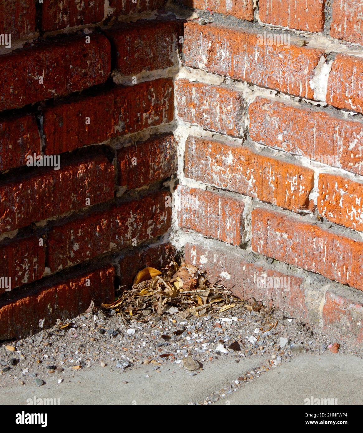 Conceptual image of a bricked in corner with debris, evocative of a 'Dead End' or 'Hitting a Brick Wall' or 'Being Cornered' or having 'No Way Out' 'F Stock Photo