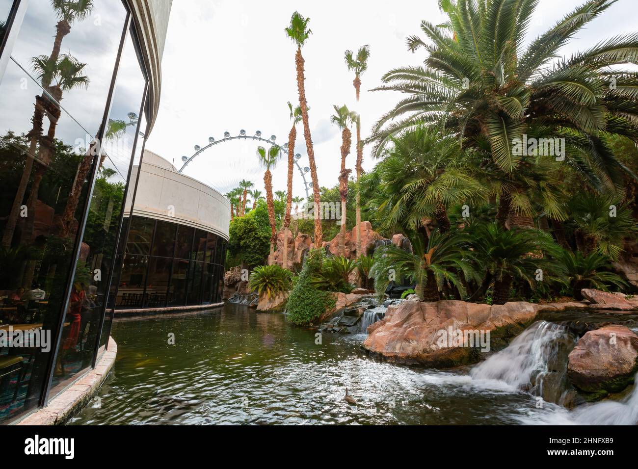 Flamingo las vegas garden hi-res stock photography and images - Alamy