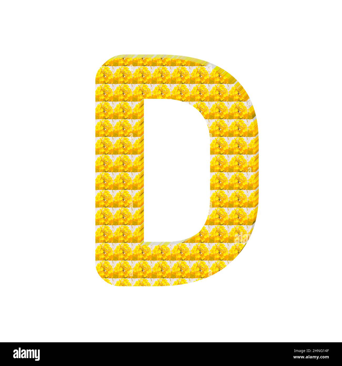 3d illustration of a letter D composed of yellow mustard flowers  isolated on white background Stock Photo