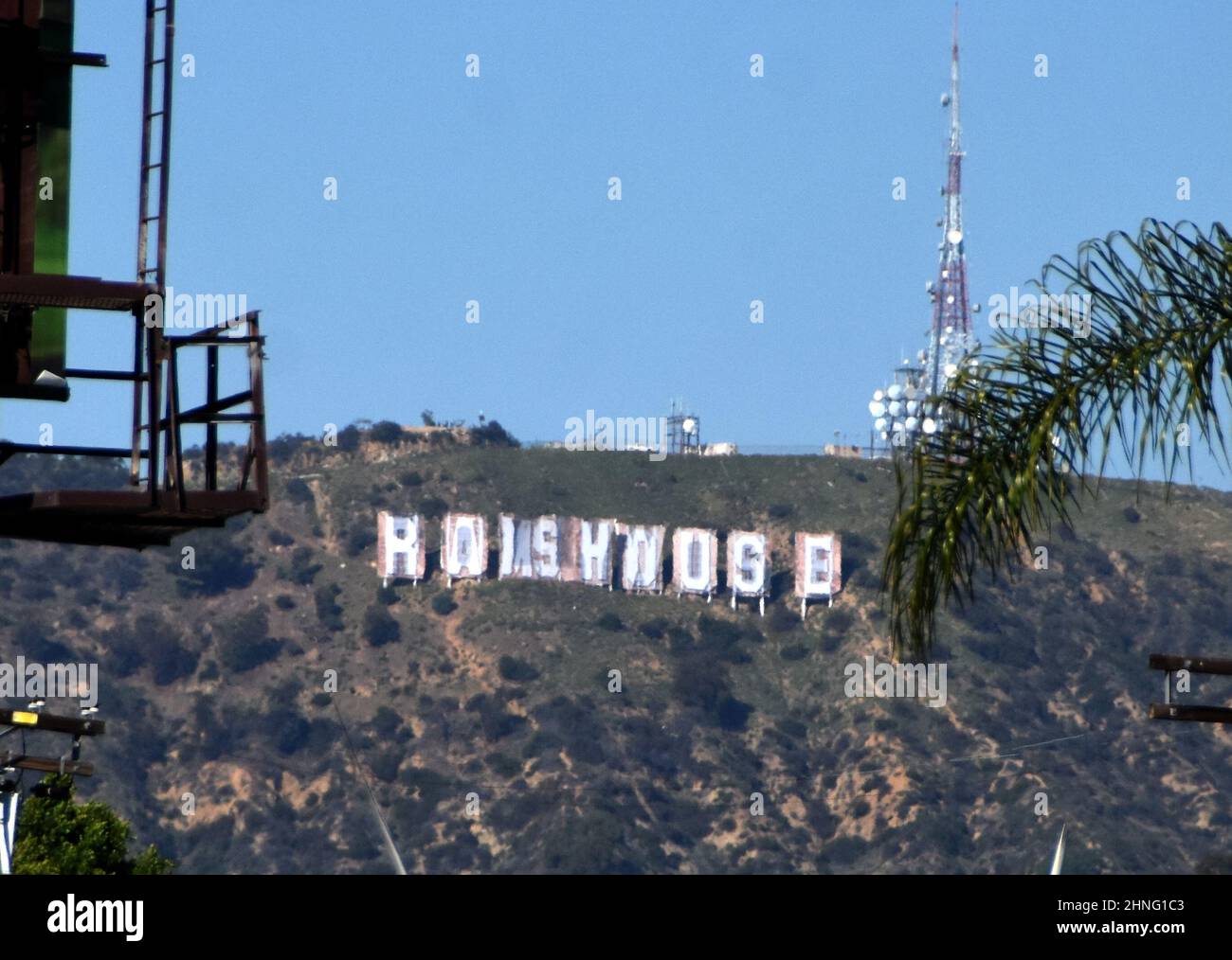 la rams hollywood sign