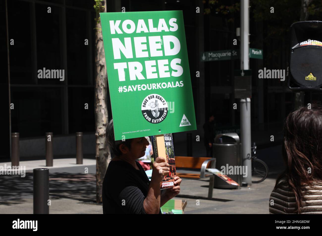 Sydney, Australia. 17th February 2022. Koalas in NSW are already a