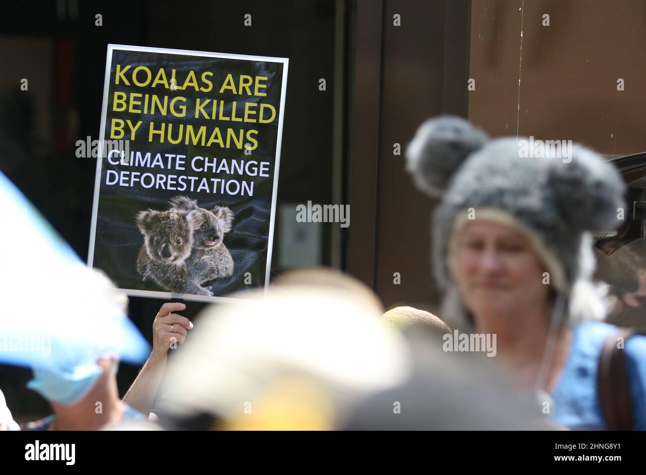 Richard martin animal hires stock photography and images Alamy