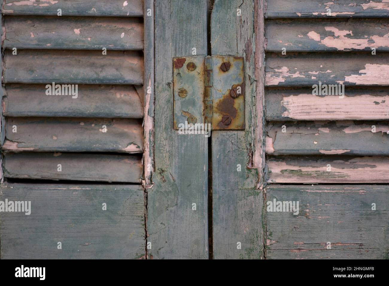 Old weathered sage green wooden window shutters with chipped paint and ...